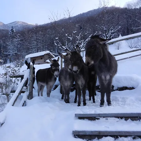 La Campagnola - Energy 公寓式酒店 3*