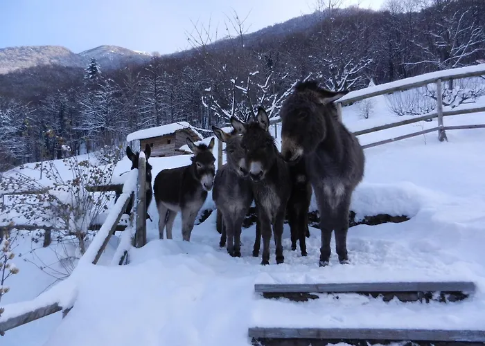 La Campagnola - Energy Hotel 3*